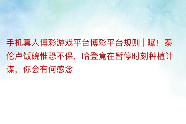 手机真人博彩游戏平台博彩平台规则 | 曝！泰伦卢饭碗惟恐不保，哈登竟在暂停时刻种植计谋，你会有何感念