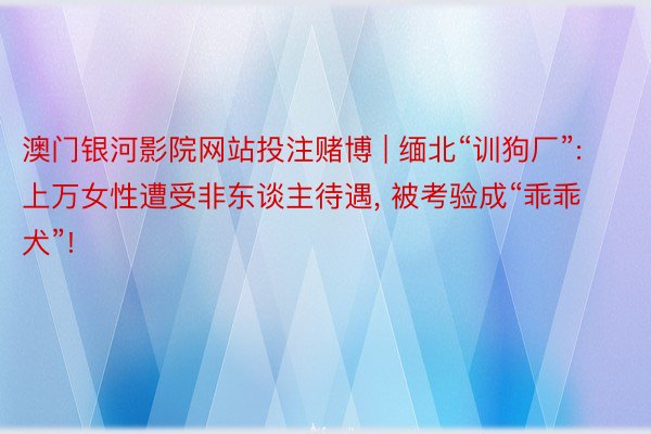 澳门银河影院网站投注赌博 | 缅北“训狗厂”: 上万女性遭受非东谈主待遇, 被考验成“乖乖犬”!
