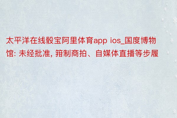 太平洋在线骰宝阿里体育app ios_国度博物馆: 未经批准, 箝制商拍、自媒体直播等步履