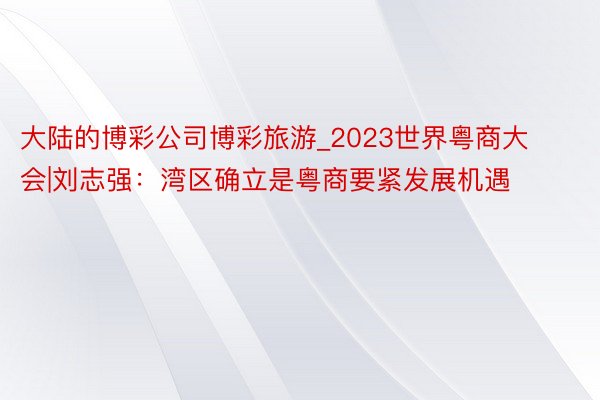 大陆的博彩公司博彩旅游_2023世界粤商大会|刘志强：湾区确立是粤商要紧发展机遇